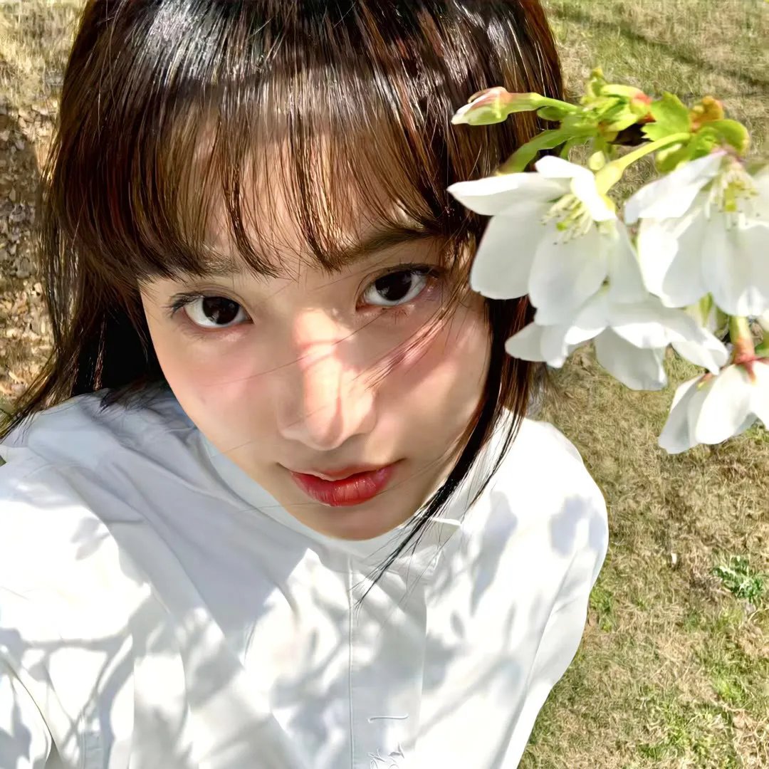 鸡同鸭讲